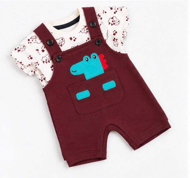 Boys Dino Dungaree Set