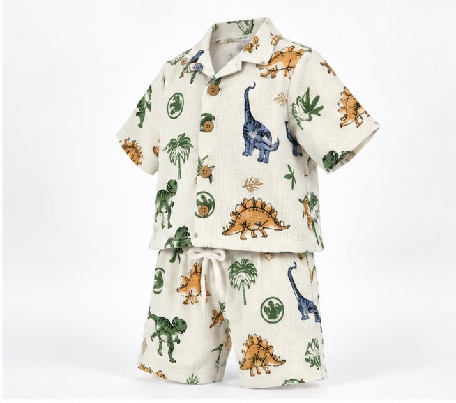 Boys Dinosaur Print Co-ord Set