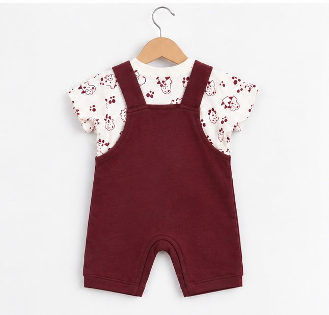 Boys Dino Dungaree Set
