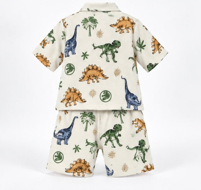 Boys Dinosaur Print Co-ord Set