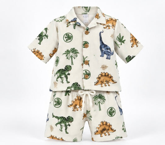 Boys Dinosaur Print Co-ord Set