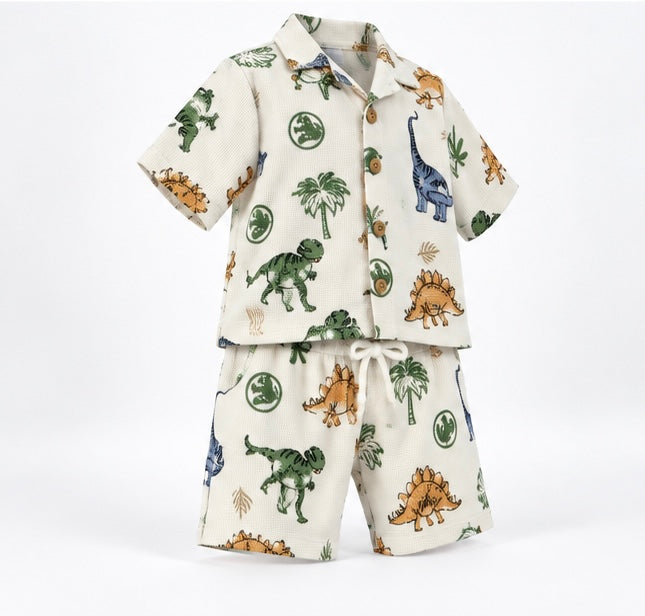 Boys Dinosaur Print Co-ord Set